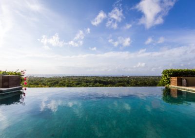 Infinity Pool
