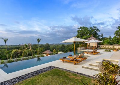 Lap Pool and Garden